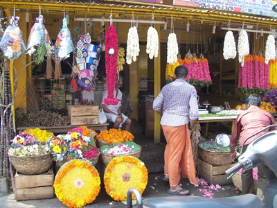 Markt